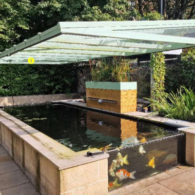 Customer Ponds: Alistair's Prize-Winning Koi Pond